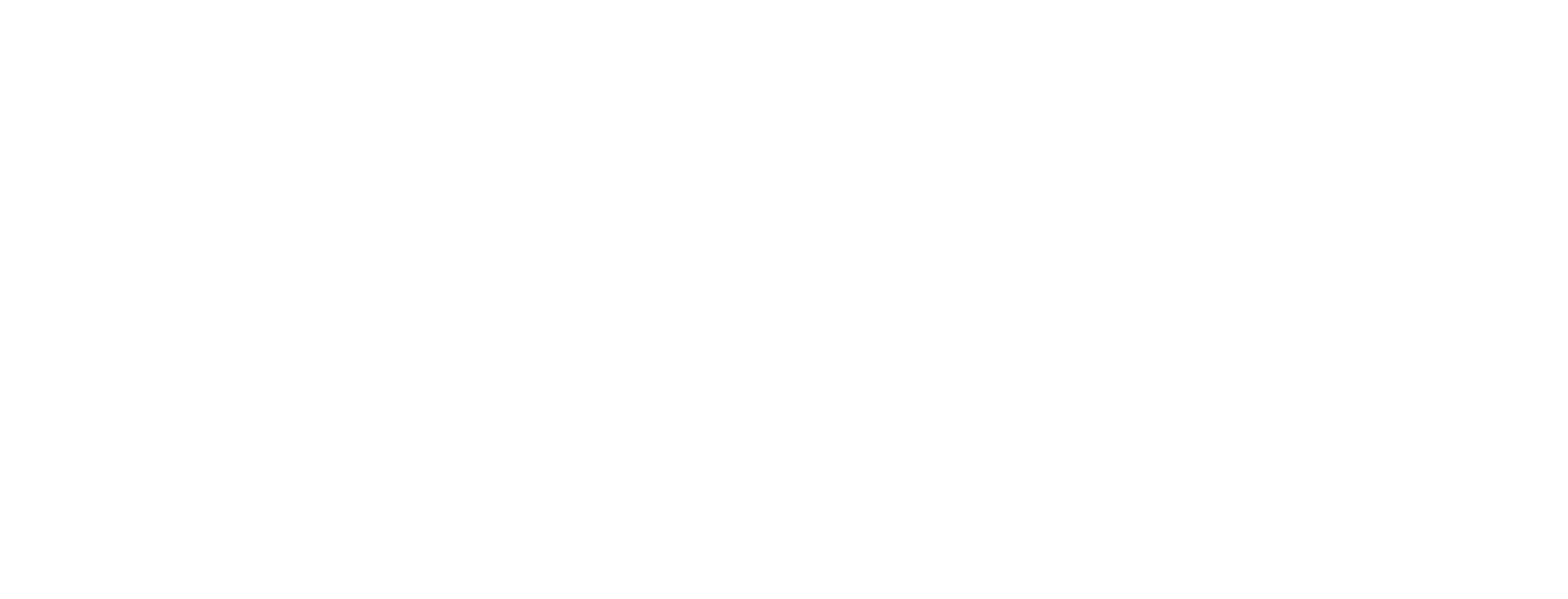 BOUTIQUE L